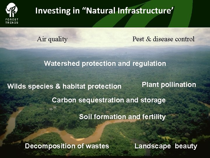 Investing in “Natural Infrastructure’ Air quality Pest & disease control The Forest Climate Alliance