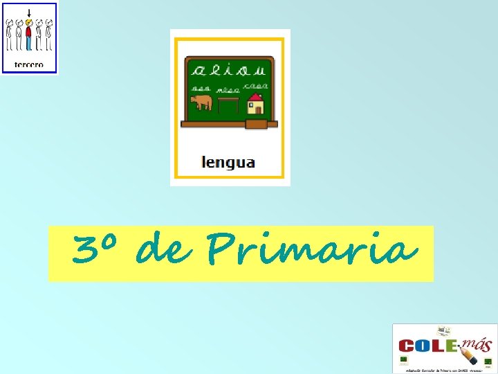 3º de Primaria 