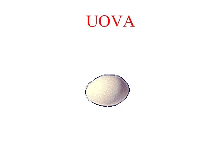 UOVA UOVA