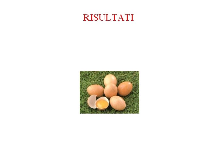 RISULTATI RISULTATI