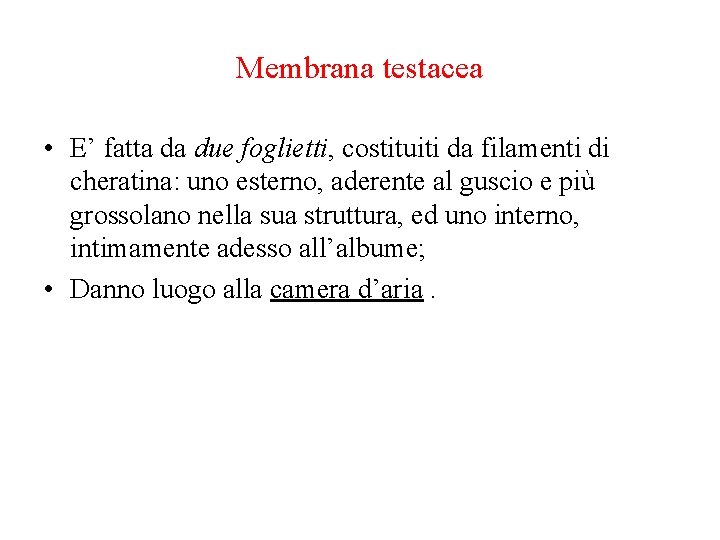 Membrana testacea • E’ fatta da due foglietti, costituiti da filamenti di cheratina: uno Membrana testacea • E’ fatta da due foglietti, costituiti da filamenti di cheratina: uno