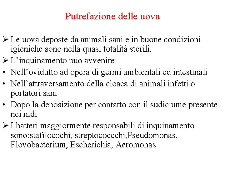 Putrefazione delle uova Ø Le uova deposte da animali sani e in buone condizioni Putrefazione delle uova Ø Le uova deposte da animali sani e in buone condizioni