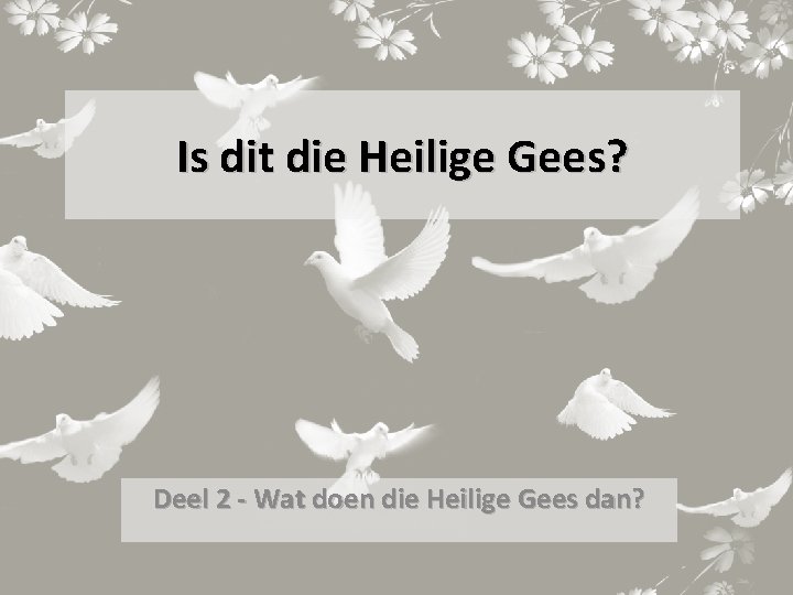 Is dit die Heilige Gees? Deel 2 - Wat doen die Heilige Gees dan?
