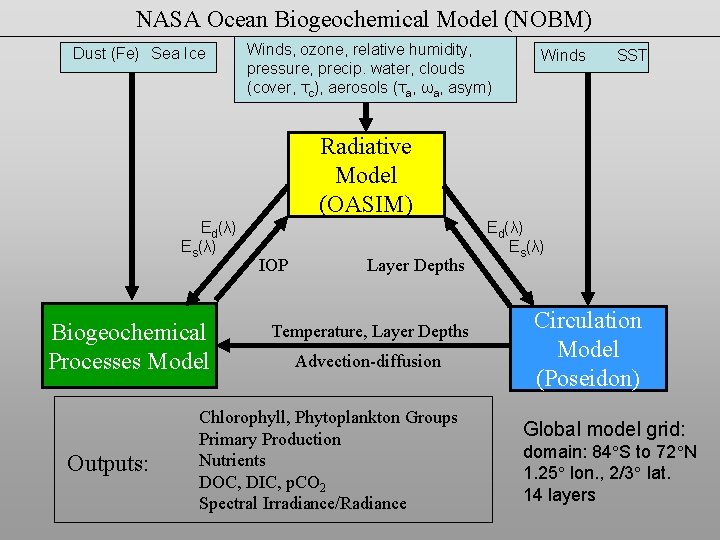 NASA Ocean Biogeochemical Model (NOBM) Dust (Fe) Sea Ice Winds, ozone, relative humidity, pressure,