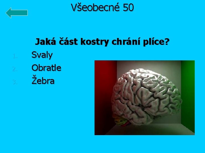 Všeobecné 50 1. 2. 3. Jaká část kostry chrání plíce? Svaly Obratle Žebra 