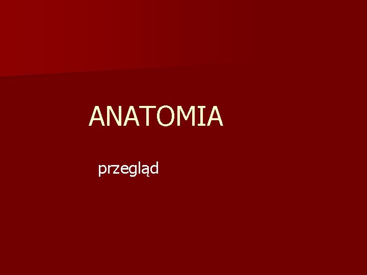 ANATOMIA przegląd 