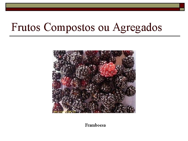 Frutos Compostos ou Agregados Framboesa 