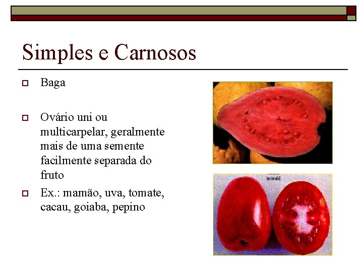 Simples e Carnosos o Baga o Ovário uni ou multicarpelar, geralmente mais de uma
