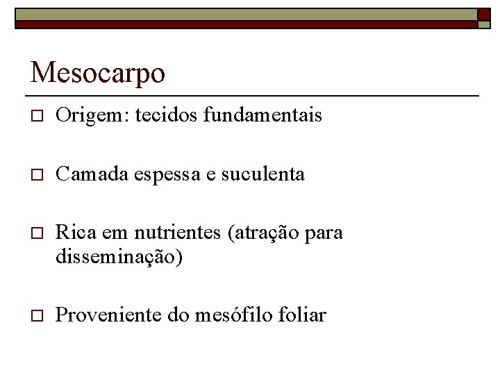Mesocarpo o Origem: tecidos fundamentais o Camada espessa e suculenta o Rica em nutrientes