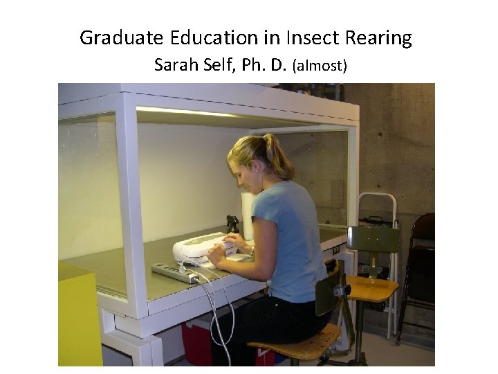 Graduate Education in Insect Rearing Sarah Self, Ph. D. (almost) Graduate Education in Insect Rearing Sarah Self, Ph. D. (almost)