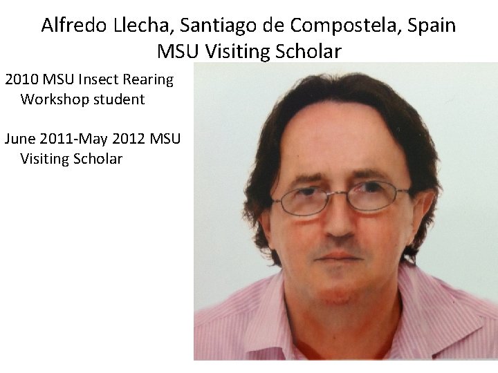 Alfredo Llecha, Santiago de Compostela, Spain MSU Visiting Scholar 2010 MSU Insect Rearing Workshop Alfredo Llecha, Santiago de Compostela, Spain MSU Visiting Scholar 2010 MSU Insect Rearing Workshop