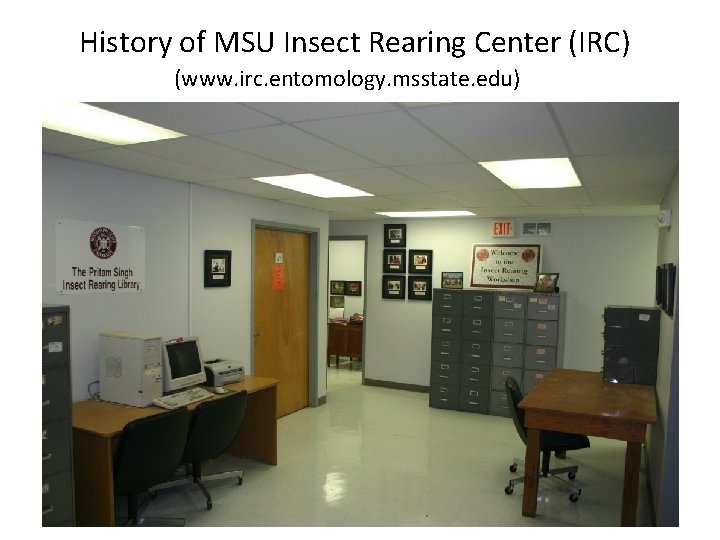 History of MSU Insect Rearing Center (IRC) (www. irc. entomology. msstate. edu) History of MSU Insect Rearing Center (IRC) (www. irc. entomology. msstate. edu)