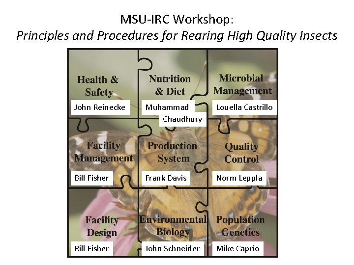 MSU-IRC Workshop: Principles and Procedures for Rearing High Quality Insects John Reinecke Muhammad Chaudhury MSU-IRC Workshop: Principles and Procedures for Rearing High Quality Insects John Reinecke Muhammad Chaudhury