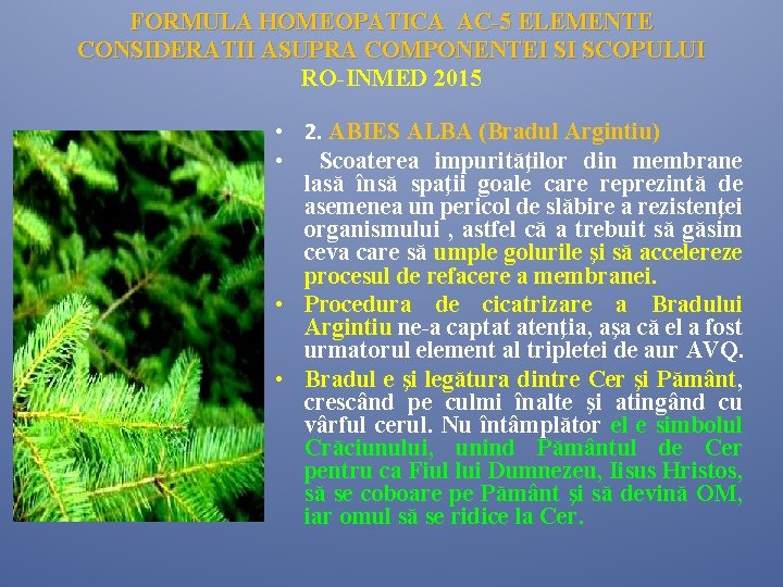 FORMULA HOMEOPATICA AC-5 ELEMENTE CONSIDERATII ASUPRA COMPONENTEI SI SCOPULUI RO-INMED 2015 • 2. ABIES FORMULA HOMEOPATICA AC-5 ELEMENTE CONSIDERATII ASUPRA COMPONENTEI SI SCOPULUI RO-INMED 2015 • 2. ABIES