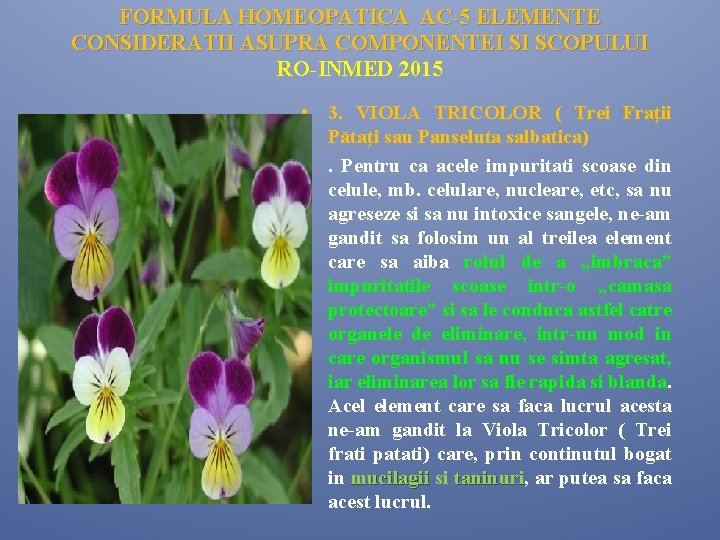 FORMULA HOMEOPATICA AC-5 ELEMENTE CONSIDERATII ASUPRA COMPONENTEI SI SCOPULUI RO-INMED 2015 • 3. VIOLA FORMULA HOMEOPATICA AC-5 ELEMENTE CONSIDERATII ASUPRA COMPONENTEI SI SCOPULUI RO-INMED 2015 • 3. VIOLA