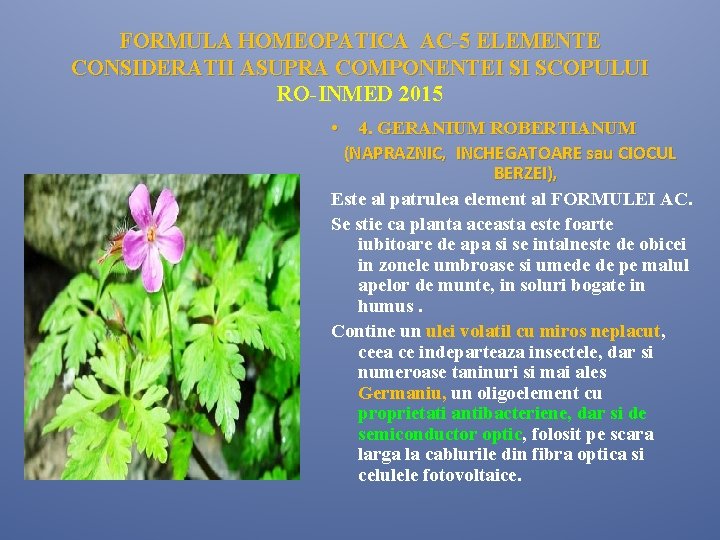 FORMULA HOMEOPATICA AC-5 ELEMENTE CONSIDERATII ASUPRA COMPONENTEI SI SCOPULUI RO-INMED 2015 • 4. GERANIUM FORMULA HOMEOPATICA AC-5 ELEMENTE CONSIDERATII ASUPRA COMPONENTEI SI SCOPULUI RO-INMED 2015 • 4. GERANIUM