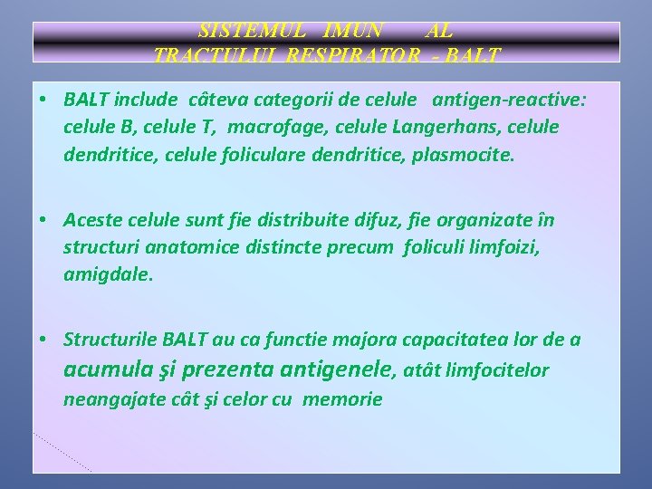 SISTEMUL IMUN AL TRACTULUI RESPIRATOR - BALT • BALT include câteva categorii de celule SISTEMUL IMUN AL TRACTULUI RESPIRATOR - BALT • BALT include câteva categorii de celule