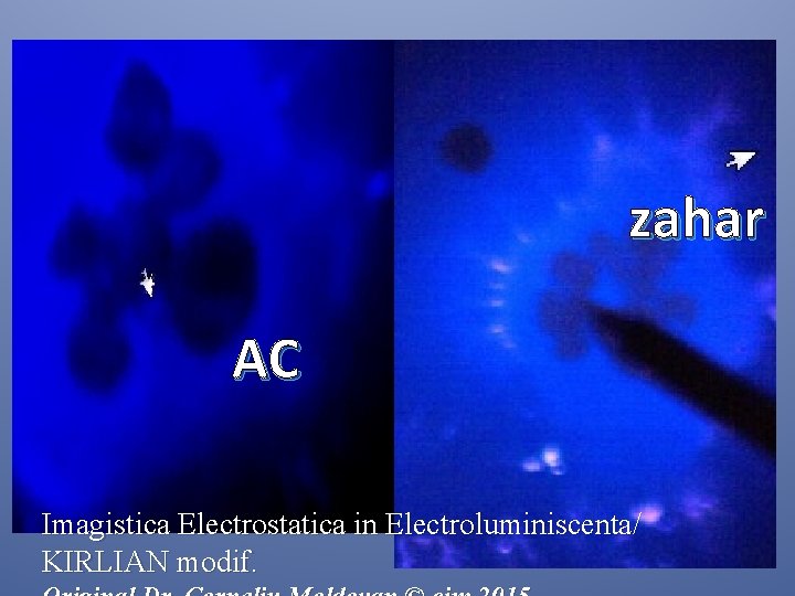 zahar AC Imagistica Electrostatica in Electroluminiscenta/ KIRLIAN modif. zahar AC Imagistica Electrostatica in Electroluminiscenta/ KIRLIAN modif.