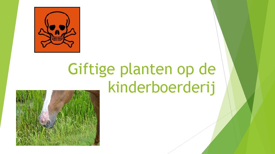 Giftige planten op de kinderboerderij 