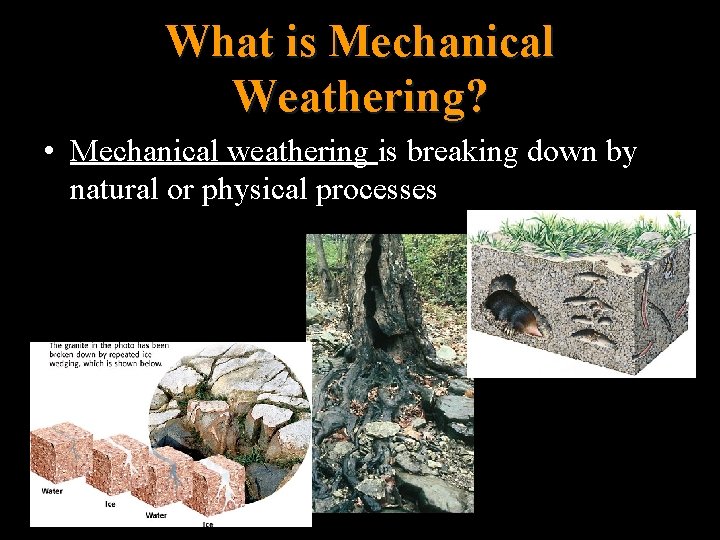 What is Mechanical Weathering? • Mechanical weathering is breaking down by natural or physical