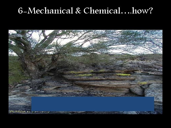 6 -Mechanical & Chemical…. how? 