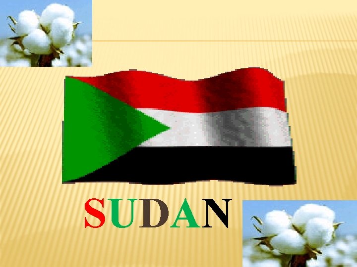 SUDAN 