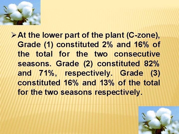 Ø At the lower part of the plant (C-zone), Grade (1) constituted 2% and