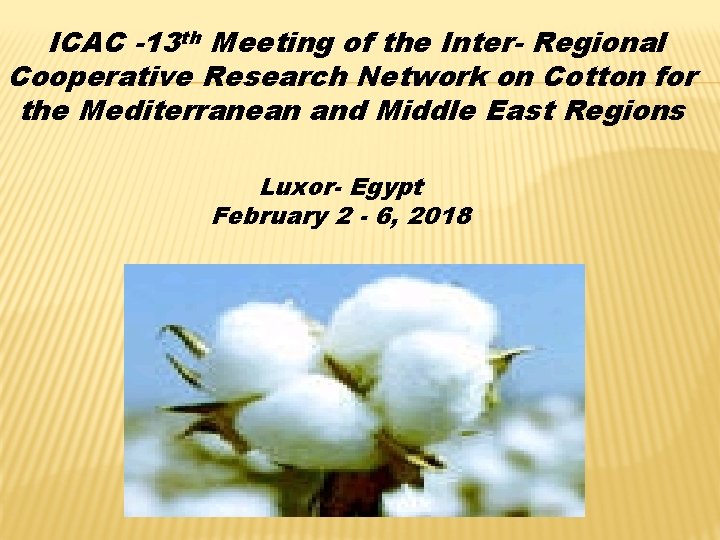 ICAC -13 th Meeting of the Inter- Regional Cooperative Research Network on Cotton for