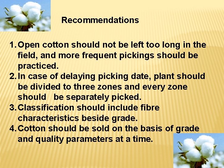 Recommendations 1. Open cotton should not be left too long in the field, and