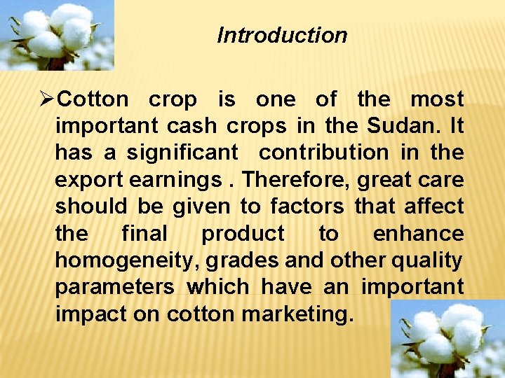 Introduction ØCotton crop is one of the most important cash crops in the Sudan.