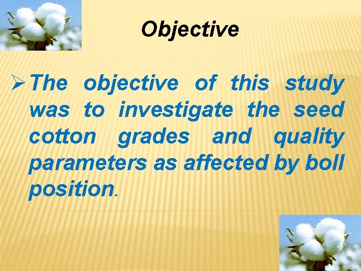 Objective ØThe objective of this study was to investigate the seed cotton grades and