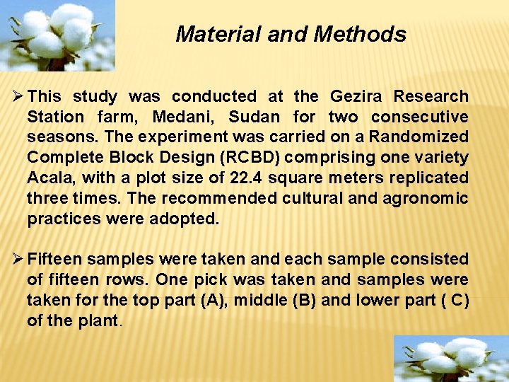 Material and Methods Ø This study was conducted at the Gezira Research Station farm,