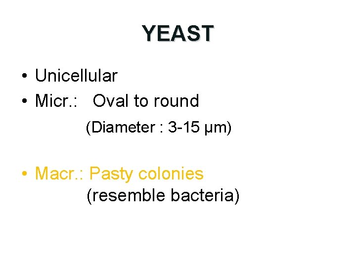 YEAST • Unicellular • Micr. : Oval to round (Diameter : 3 -15 µm)