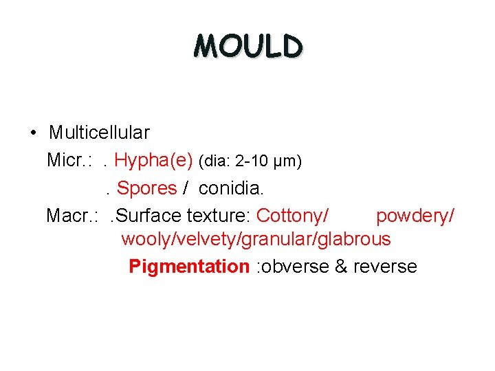 MOULD • Multicellular Micr. : . Hypha(e) (dia: 2 -10 µm). Spores / conidia.