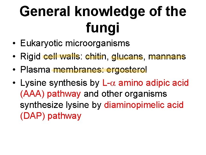 General knowledge of the fungi • • Eukaryotic microorganisms Rigid cell walls: chitin, glucans,