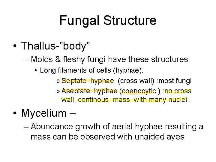 Fungal Structure • Thallus-”body” – Molds & fleshy fungi have these structures • Long