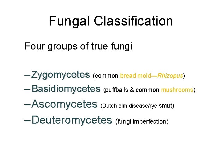 Fungal Classification Four groups of true fungi – Zygomycetes (common bread mold—Rhizopus) – Basidiomycetes