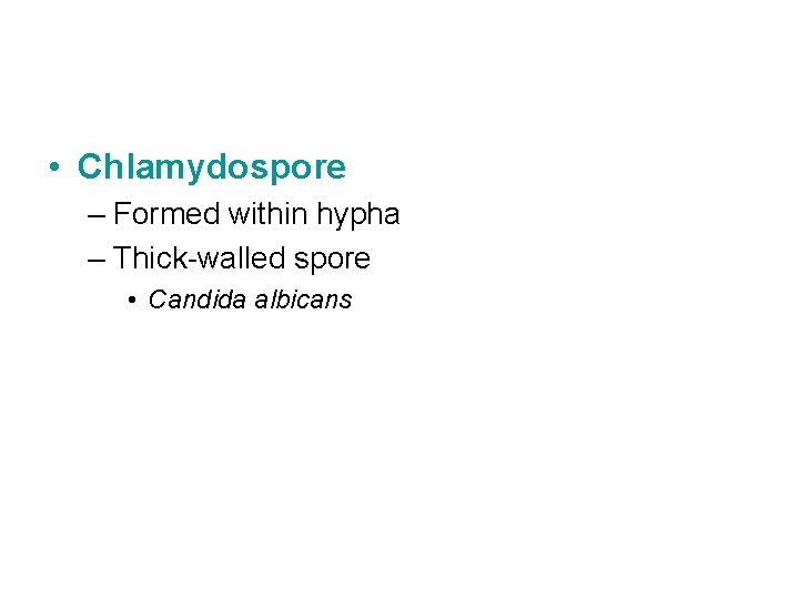  • Chlamydospore – Formed within hypha – Thick-walled spore • Candida albicans 