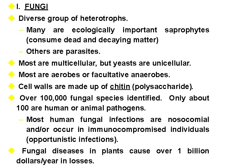 u I. FUNGI u Diverse group of heterotrophs. – Many are ecologically important saprophytes