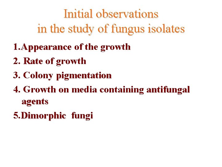 Initial observations in the study of fungus isolates 1. Appearance of the growth 2.