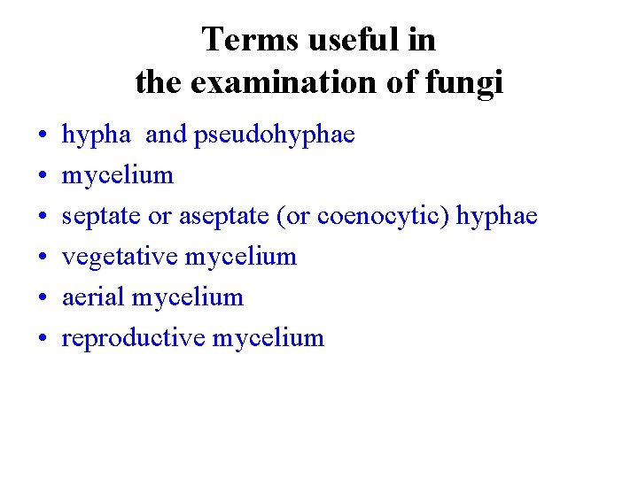 Terms useful in the examination of fungi • • • hypha and pseudohyphae mycelium