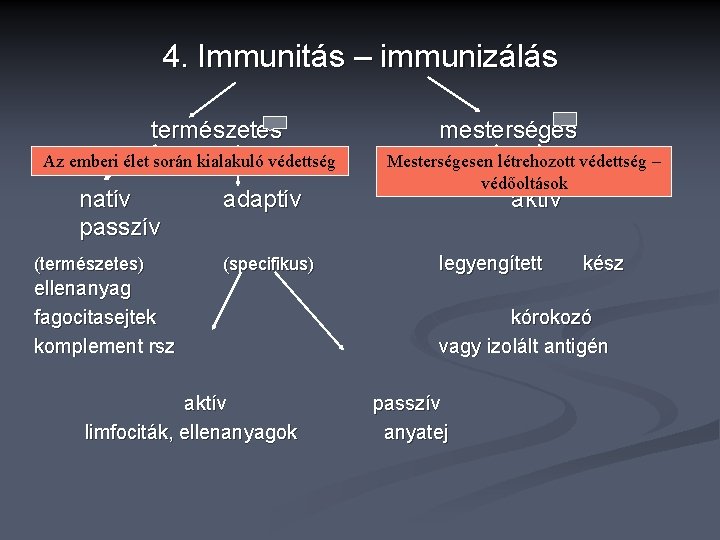 4. Immunitás – immunizálás természetes Az emberi élet során kialakuló védettség natív passzív (természetes)