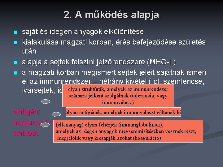 2. A működés alapja n n saját és idegen anyagok elkülönítése kialakulása magzati korban,