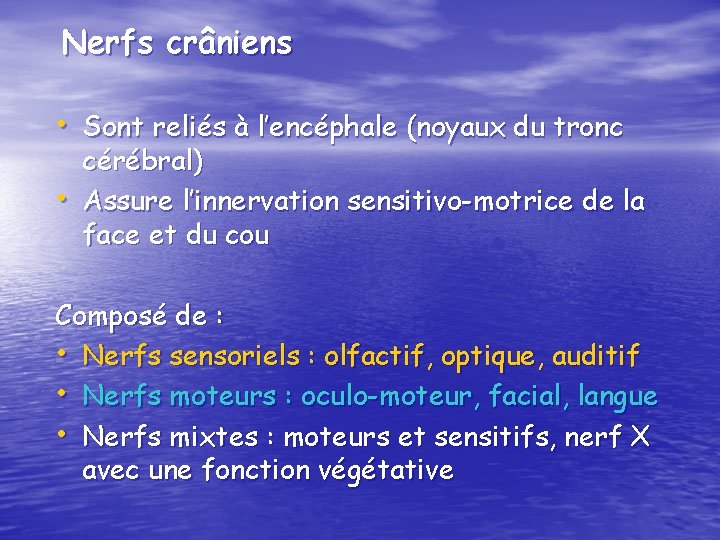 Nerfs crâniens • Sont reliés à l’encéphale (noyaux du tronc • cérébral) Assure l’innervation