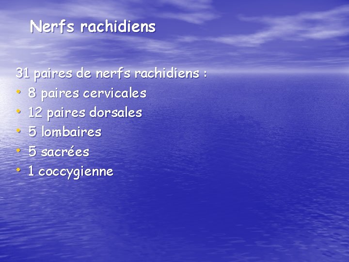 Nerfs rachidiens 31 paires de nerfs rachidiens : • 8 paires cervicales • 12