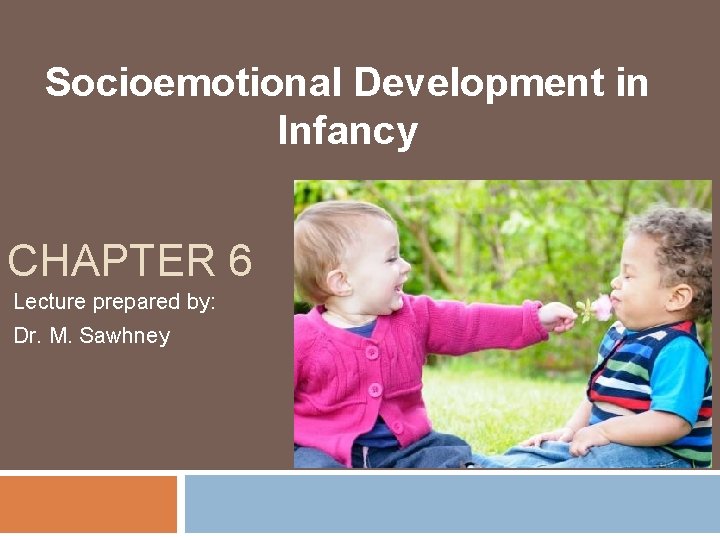 Socioemotional Development in Infancy CHAPTER 6 Lecture prepared by: Dr. M. Sawhney 