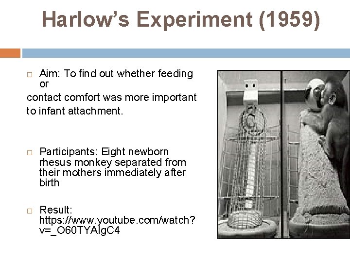Harlow’s Experiment (1959) Aim: To find out whether feeding or contact comfort was more