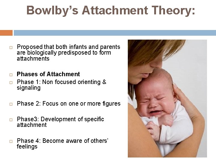 Bowlby’s Attachment Theory: Proposed that both infants and parents are biologically predisposed to form