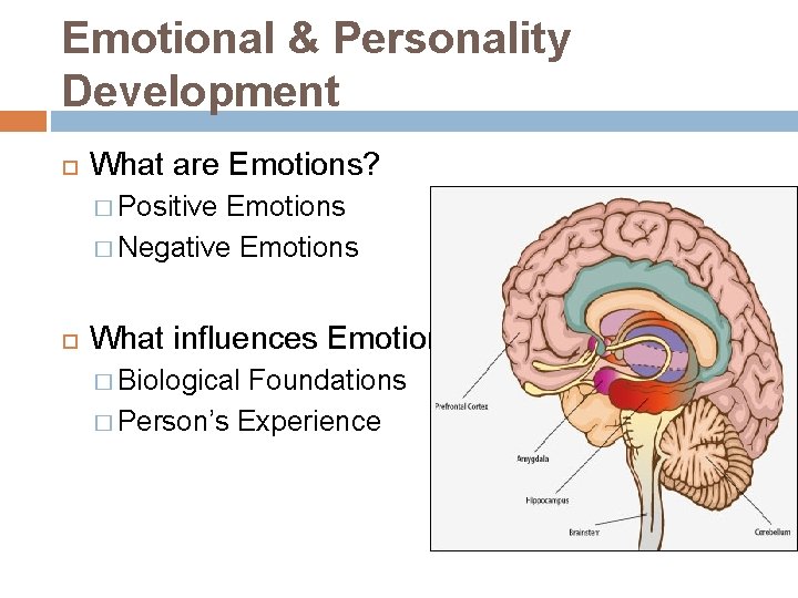 Emotional & Personality Development What are Emotions? � Positive Emotions � Negative Emotions What