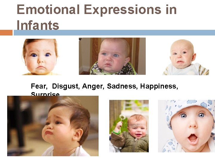 Emotional Expressions in Infants Fear, Disgust, Anger, Sadness, Happiness, Surprise 